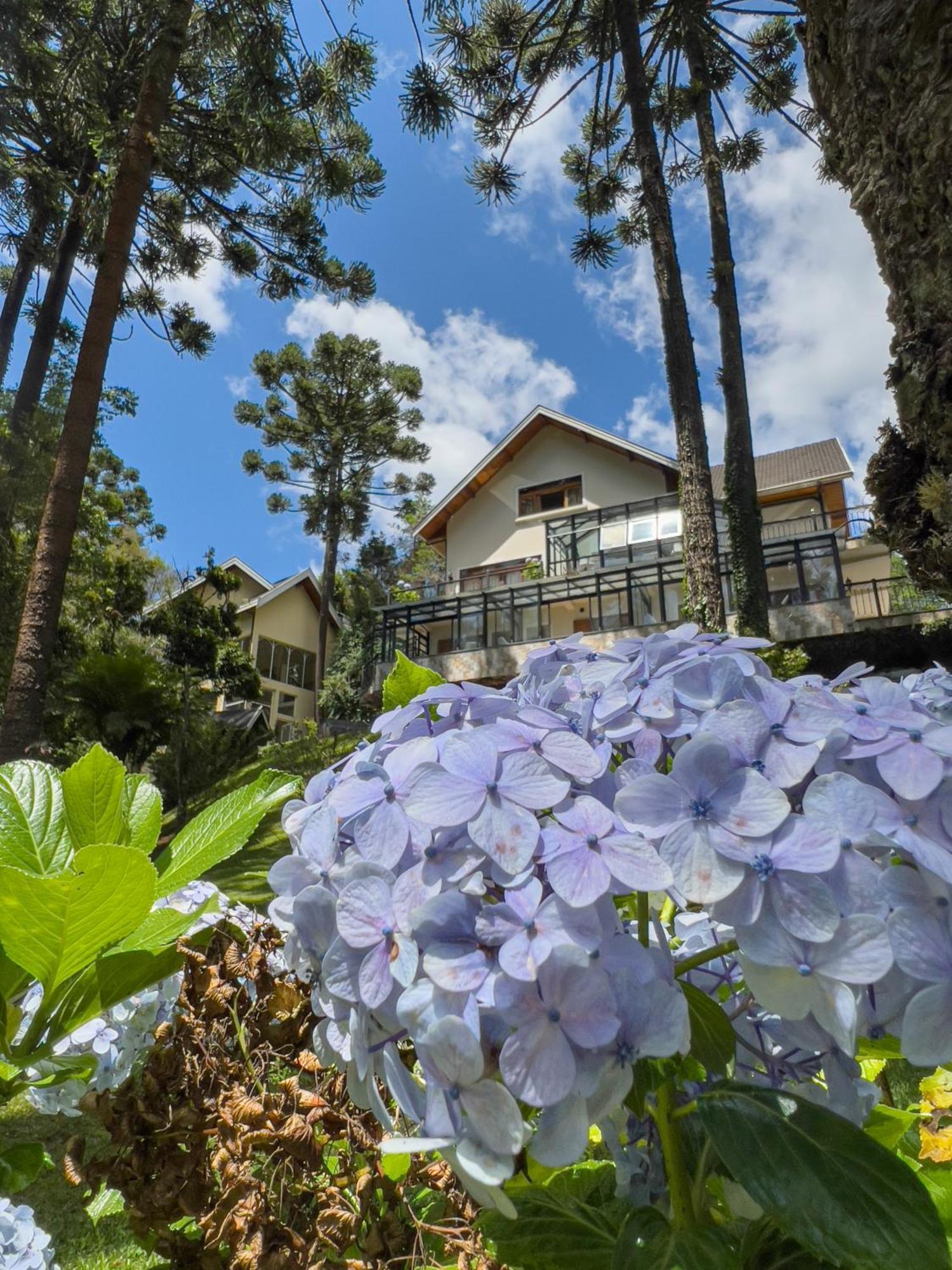 Araucaria Lodge Campos do Jordão Exterior photo